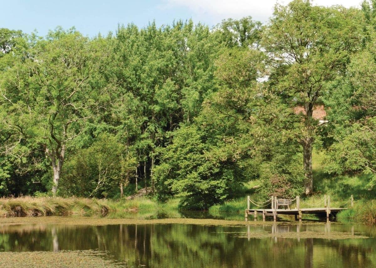 Mill Meadow Lodges Llanbister Kültér fotó